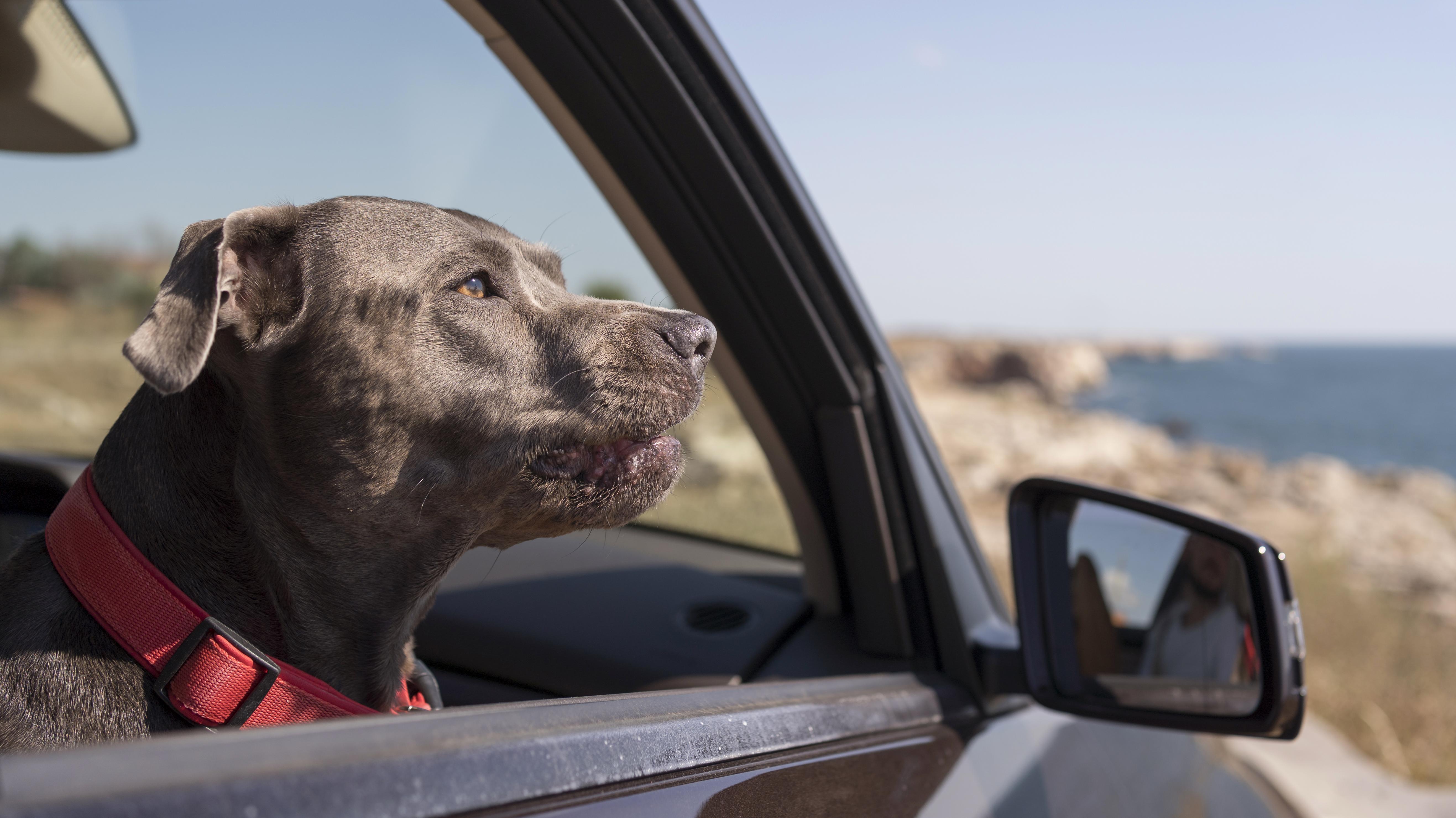 Image by vecstock on Freepik